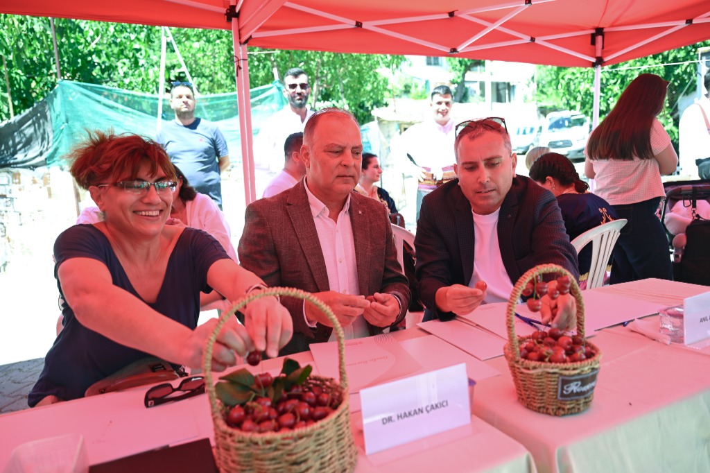 Dr. Hakan Çakıcı Jüri Değerlendirmesi
